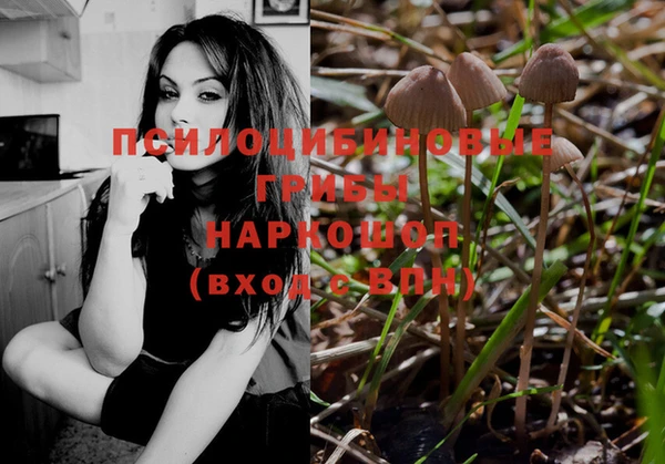 круглые Новозыбков