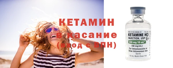 стаф Новокубанск