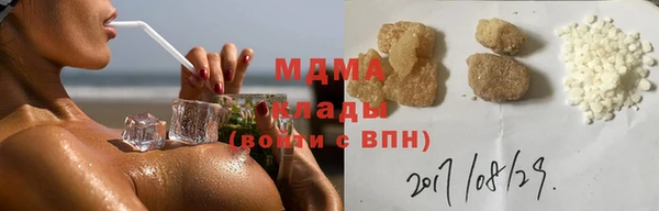 стаф Новокубанск