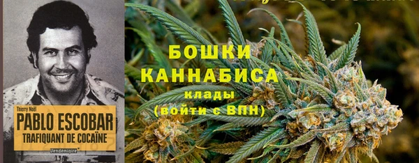 амфетамин Новодвинск