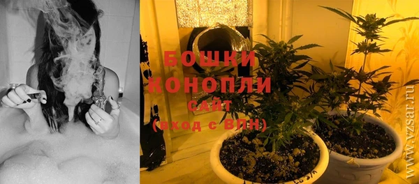 гидропоника Нея