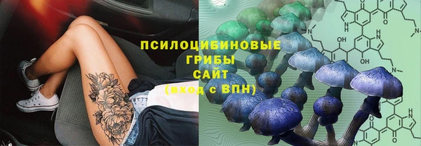 мяу мяу мука Нефтекумск