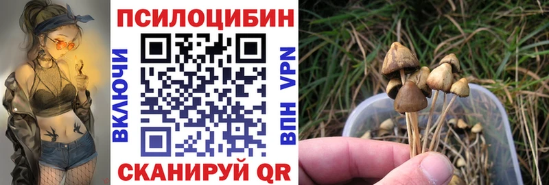 Галлюциногенные грибы Psilocybine cubensis  ссылка на мегу зеркало  Оханск  купить  цена 